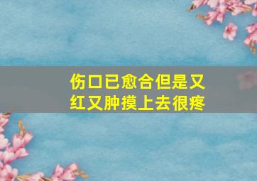 伤口已愈合但是又红又肿摸上去很疼