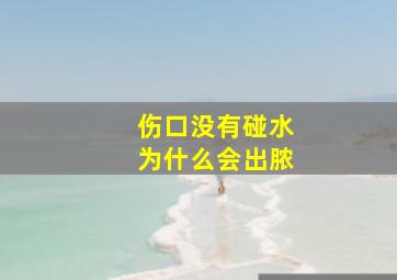 伤口没有碰水为什么会出脓