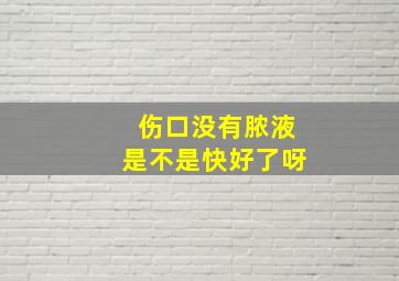 伤口没有脓液是不是快好了呀