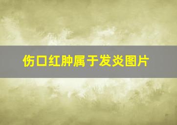 伤口红肿属于发炎图片