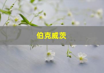 伯克威茨