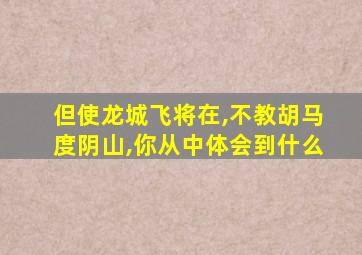 但使龙城飞将在,不教胡马度阴山,你从中体会到什么