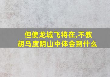 但使龙城飞将在,不教胡马度阴山中体会到什么