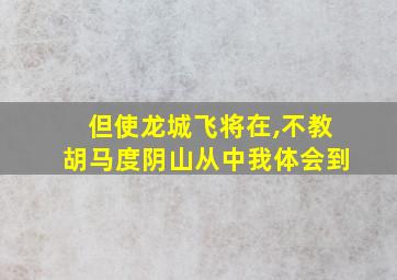 但使龙城飞将在,不教胡马度阴山从中我体会到