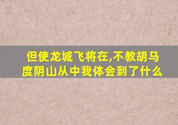 但使龙城飞将在,不教胡马度阴山从中我体会到了什么