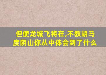 但使龙城飞将在,不教胡马度阴山你从中体会到了什么