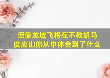 但使龙城飞将在不教胡马度应山你从中体会到了什么