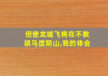 但使龙城飞将在不教胡马度阴山,我的体会