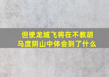 但使龙城飞将在不教胡马度阴山中体会到了什么