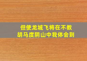 但使龙城飞将在不教胡马度阴山中我体会到