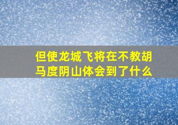 但使龙城飞将在不教胡马度阴山体会到了什么