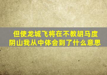 但使龙城飞将在不教胡马度阴山我从中体会到了什么意思