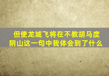 但使龙城飞将在不教胡马度阴山这一句中我体会到了什么