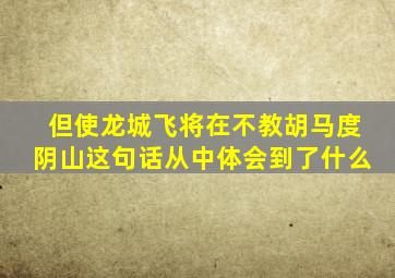 但使龙城飞将在不教胡马度阴山这句话从中体会到了什么