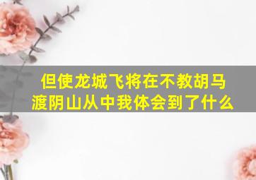 但使龙城飞将在不教胡马渡阴山从中我体会到了什么