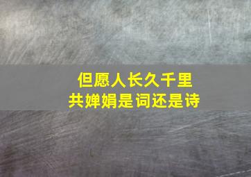 但愿人长久千里共婵娟是词还是诗