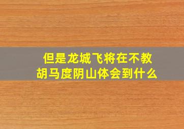 但是龙城飞将在不教胡马度阴山体会到什么