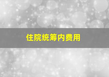 住院统筹内费用