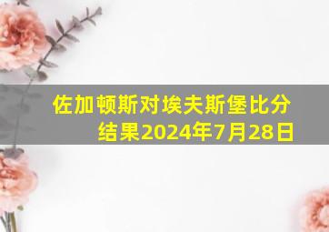 佐加顿斯对埃夫斯堡比分结果2024年7月28日