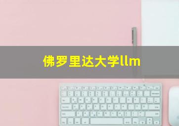 佛罗里达大学llm