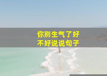 你别生气了好不好说说句子