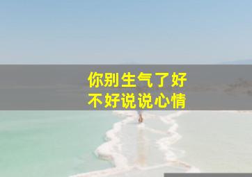 你别生气了好不好说说心情