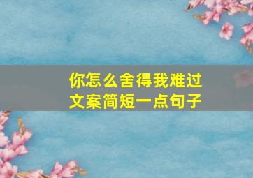 你怎么舍得我难过文案简短一点句子