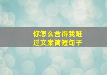 你怎么舍得我难过文案简短句子