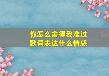 你怎么舍得我难过歌词表达什么情感