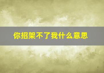 你招架不了我什么意思