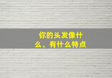 你的头发像什么、有什么特点