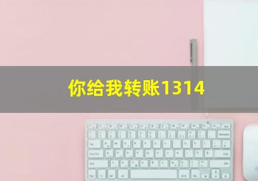 你给我转账1314