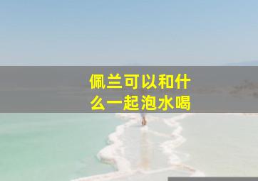 佩兰可以和什么一起泡水喝