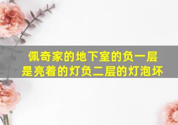 佩奇家的地下室的负一层是亮着的灯负二层的灯泡坏