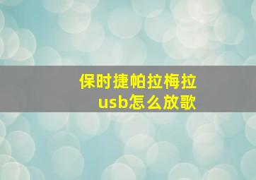 保时捷帕拉梅拉usb怎么放歌