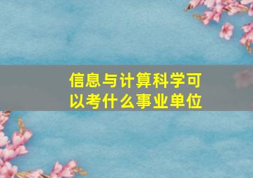 信息与计算科学可以考什么事业单位