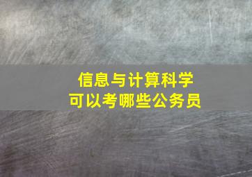 信息与计算科学可以考哪些公务员