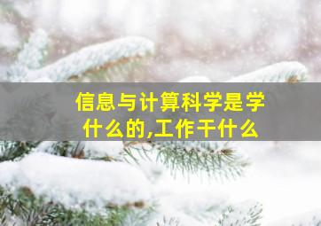 信息与计算科学是学什么的,工作干什么