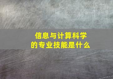 信息与计算科学的专业技能是什么