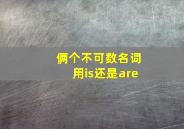 俩个不可数名词用is还是are