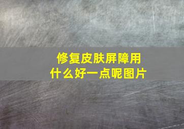 修复皮肤屏障用什么好一点呢图片