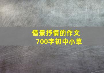 借景抒情的作文700字初中小草