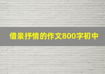 借景抒情的作文800字初中