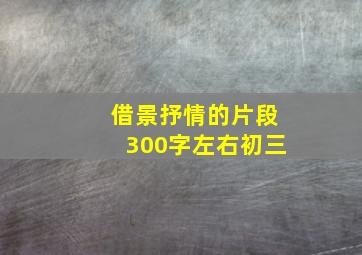 借景抒情的片段300字左右初三