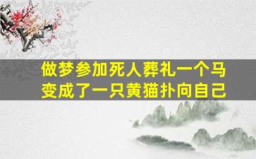 做梦参加死人葬礼一个马变成了一只黄猫扑向自己