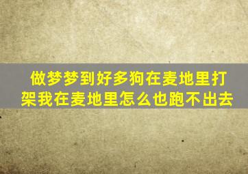 做梦梦到好多狗在麦地里打架我在麦地里怎么也跑不出去