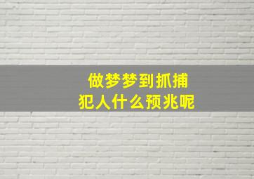 做梦梦到抓捕犯人什么预兆呢