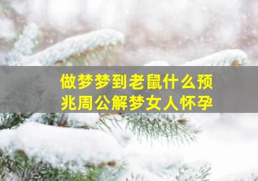 做梦梦到老鼠什么预兆周公解梦女人怀孕