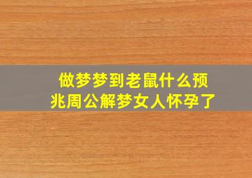 做梦梦到老鼠什么预兆周公解梦女人怀孕了