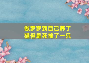 做梦梦到自己养了猫但是死掉了一只